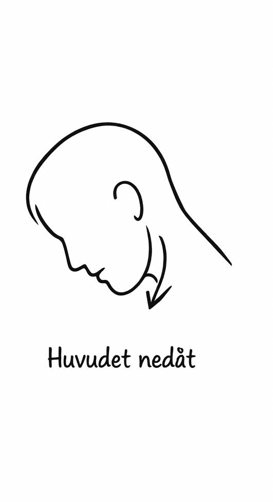 Bild 2: Hakan lätt nedåt